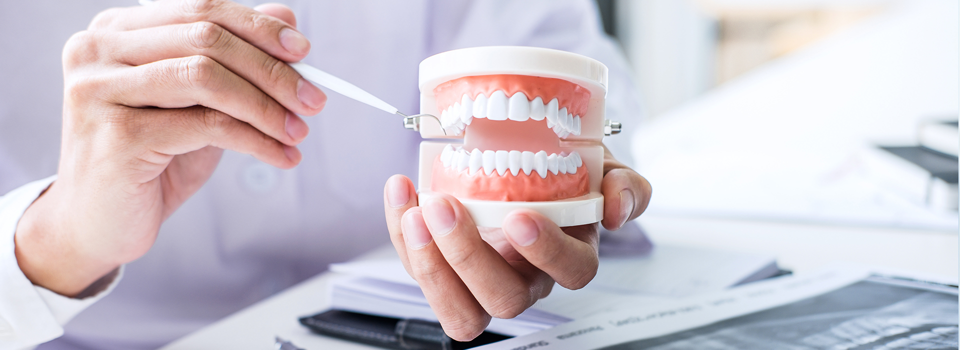 Gregory J. Schmitt, DMD | Root Canals, Dental Fillings and Teeth Whitening